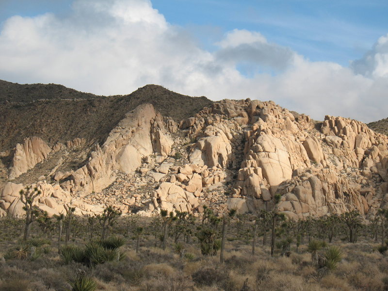 The Comic Book from the vicinity of the Asteroid Belt, Joshua Tree NP