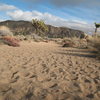 The sandy wash on the approach to the Asteroid Belt, Joshua Tree NP