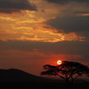 A Serengeti Sunset after a day of bush fires. 2007.