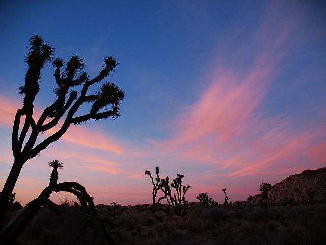 Nice light at Hall of Horrors, Joshua Tree NP 