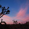 Nice light at Hall of Horrors, Joshua Tree NP 