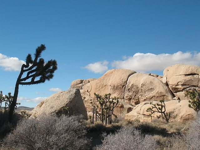 The right side of the Hall of Horrors - West Wall (East Face), Joshua Tree NP <br>

