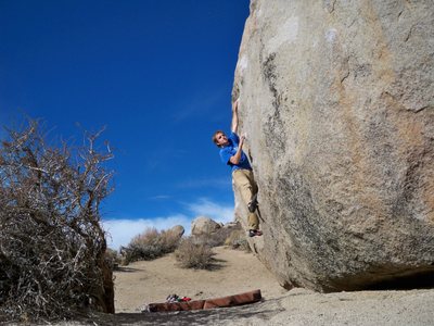 Tucker about to send King Tut