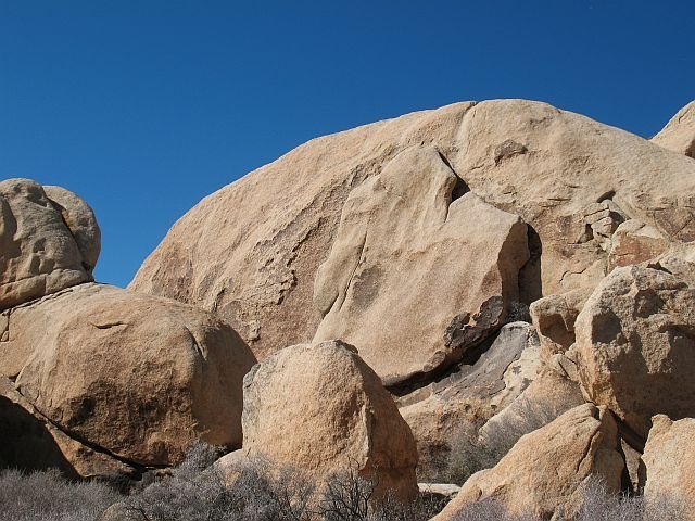 Creature Feature Area, Joshua Tree NP