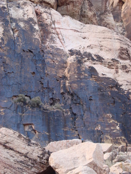 The second pitch starts just right of the big bush in the middle of the ledge. Nice line with a spicy traverse at the top!<br>
