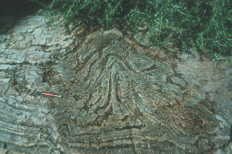 Flow bands in volcanic rock. Viscous (very thick) lava (rhyolite) flow. New Jack City, CA 