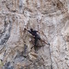 Simon starting the crux sequence on Blucifer