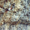 Pullin' down on a Rifle overhang, photo: Bob Horan.