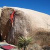 Reaching for the sloping lip of The Chube (V0+), Joshua Tree NP 