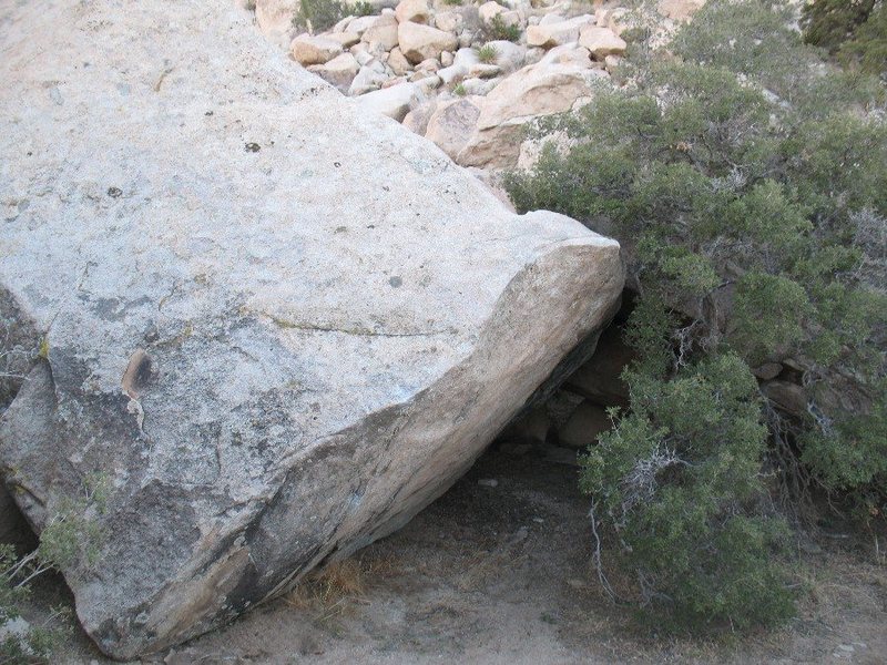 Oak Tree Boulder, Joshua Tree NP