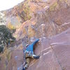 After the crux on the Yellow Spur Direct Start.  Although it still wanders a bit, this is a much more logical way to do the climb than the 5.8 start.