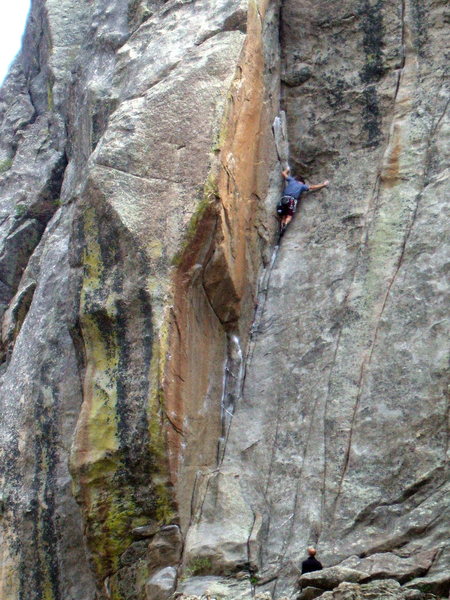 The classic Cosmosis Dihedral, photo: Bob Horan.