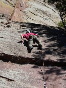 Leading Raccoon Soup.
