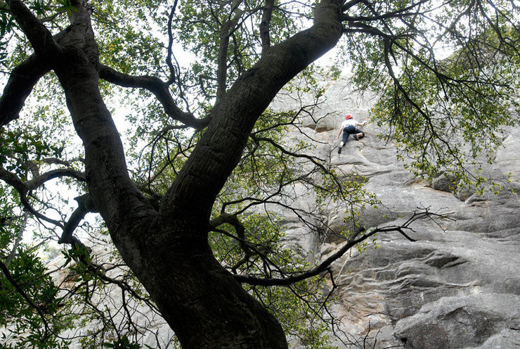 San Ysidro Canyon, Santa Barbara