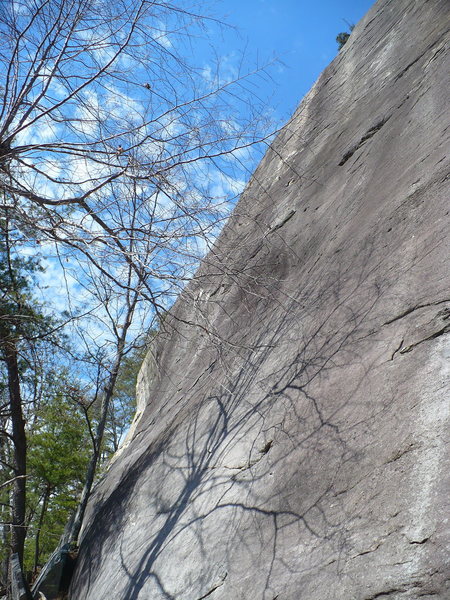 Lakeview Area, Rumbling Bald, NC