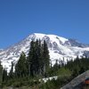 Mt Rainier 2008