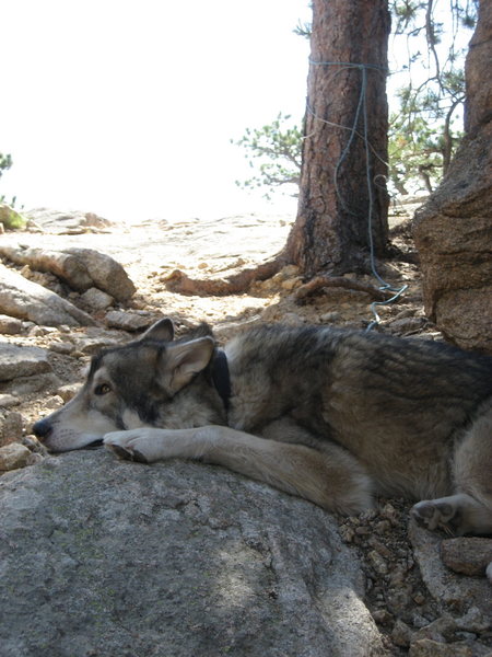 Yaka...clearly very concerned that we are climbing above him