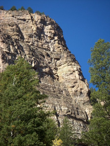 View of the section of wall with Mudflap Girl.