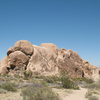 Pixie Rock, Joshua Tree NP