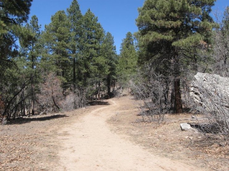 Top of the hill, path goes straight or veers off right to the warm-up boulder and beyond.