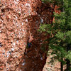 Unknown climber self-belaying.