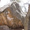 Boulder near the petrified boulder.