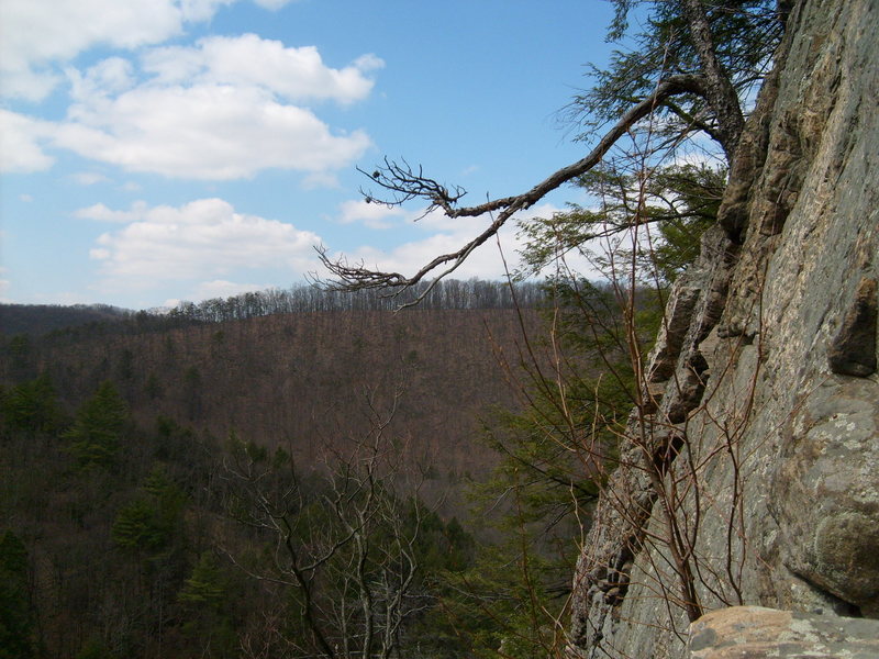 View from half way up the cliff. 