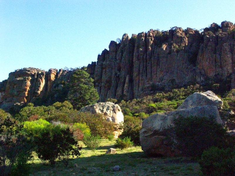 The Organ Pipes