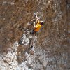 A climb in the Box Canyon. 