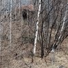 Look for the white plastic bag when finding the boulder.