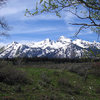 L to R: Albright Pk, Static Pk, Buck Mt, 10696, tip of Wister.