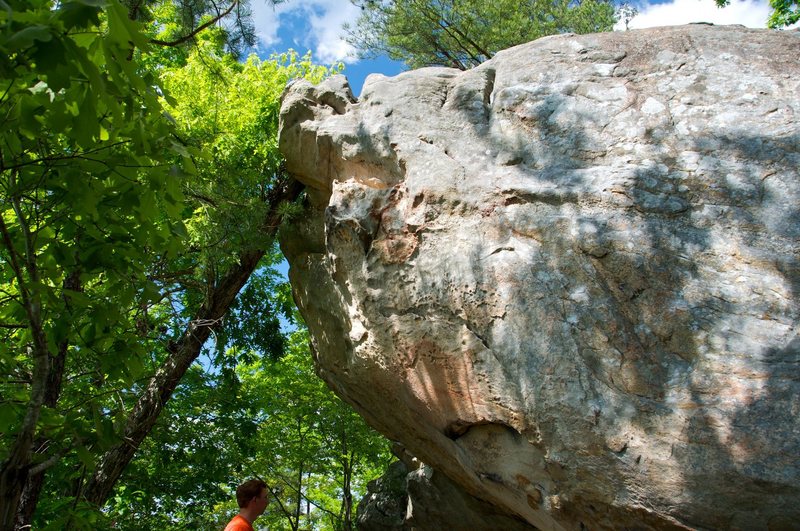 Sizing up Rock Till You Drop, a really fun route at Juliette.