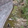 Some of the locals checking us out.  This is taken from the start of the route.