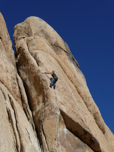 justin climbing in Joshua Tree