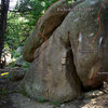 A tree top shot of the Pachyderm Boulder.