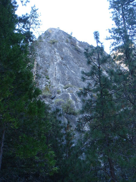 Manure Pile Buttress with all 6 pitches of After Six visible in the center of the pic.  (P1 and After Seven mostly obscurred by the trees)