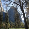 Day 4 - Lower Cathedral Rock from El Cap Meadow.