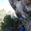 Matt L. trying the move off of the flared finger lock. It tends to feel OK until you bring your feet up.<br>
<br>
The green sling is a thread that provides a nice directional to keep the rope out of the climbers way. Double shoulder length runner.