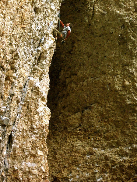 Hayden Dry Times 12b 