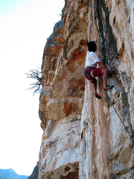 Peter Piek sending Shit'n Cactus.