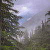 Rainy descent through the forests on Heliotrope Trail.