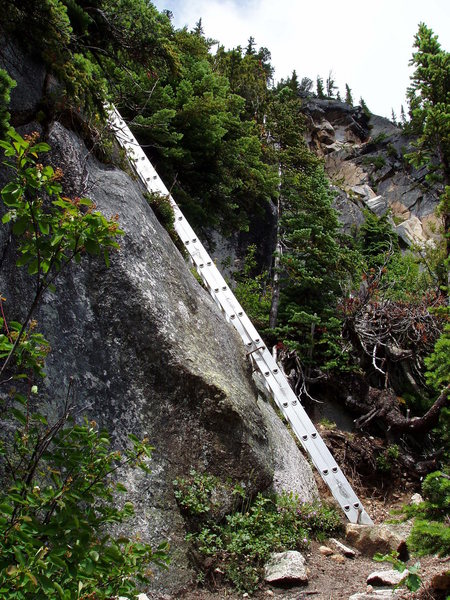 The ladder, is part of the trail