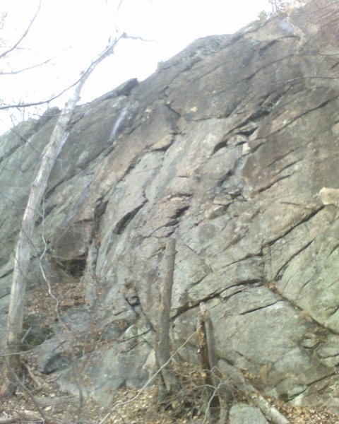 Pizza Face slab 5.1