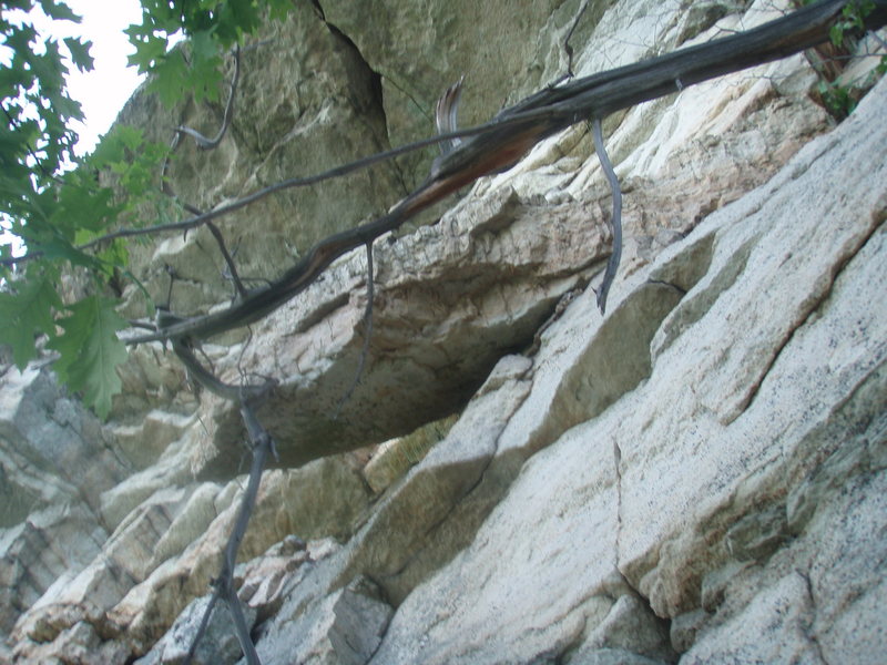 A rock above the GT ledge only held up by the tree!