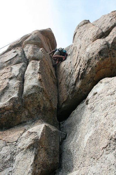 Albert on Green Eggs and Ham 5.7