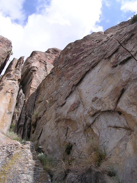 Shop and Compare climbs the brown wall that is in the shade.