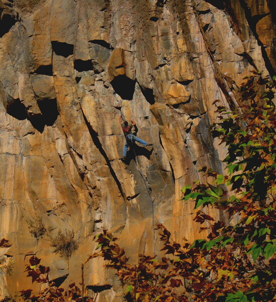 Dan Foster onsighting the second ascent of Death and Taxes, in the middle of The Main Amphitheater.