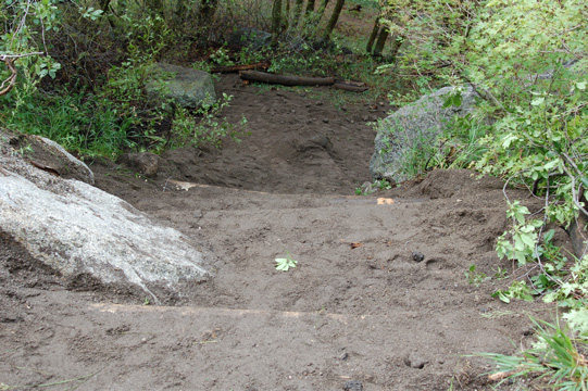 Looking down the newly maintained Syringe Trail Access Trail. <br>
