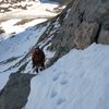 Taking the Brute variation to gain the couloir.  Photo by Dennis S.