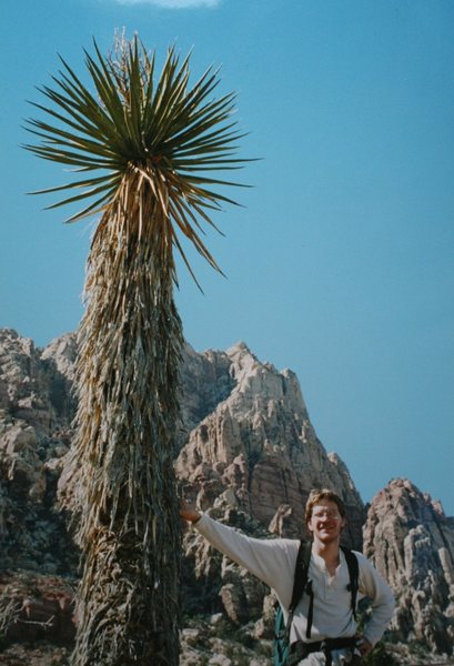 The Two Biggest Yuccas in the Desert. (The one on the right is me)